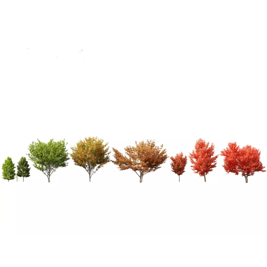 Autumn Colors Collection 3D Model – High Poly Plant Assets, FBX, Blender - View 4