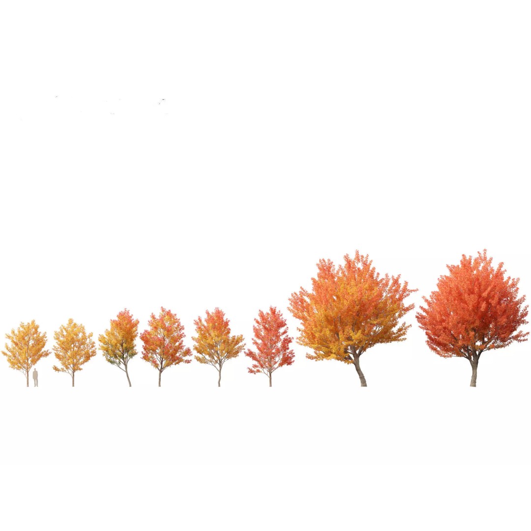 Autumn Colors Collection 3D Model – High Poly Plant Assets, FBX, Blender - View 5