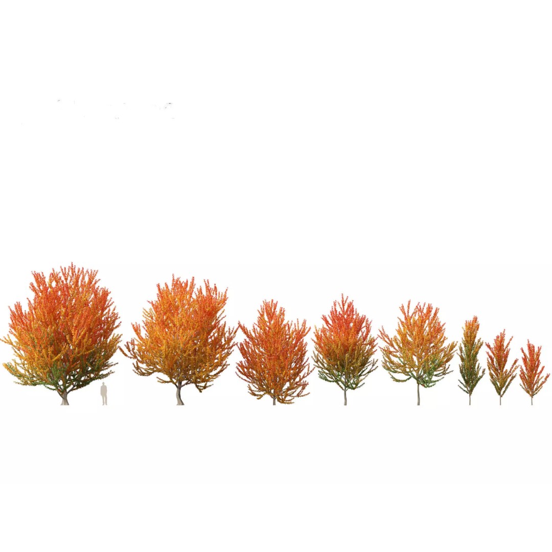 Autumn Colors Collection 3D Model – High Poly Plant Assets, FBX, Blender - View 6