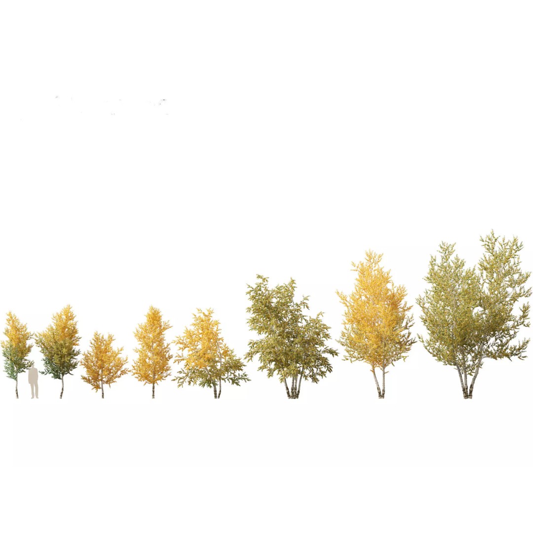 Autumn Colors Collection 3D Model – High Poly Plant Assets, FBX, Blender - View 9