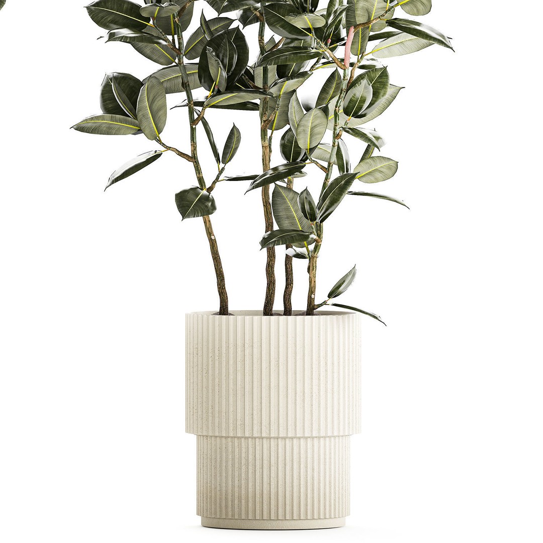 Beautiful Ficus elastica Tree 3D Model – Stylish Indoor/Outdoor Decor - View 13