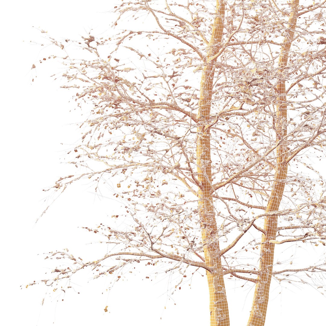 Alnus Glutinosa Winter Snow Tree 3D Model – PBR Game Asset, FBX, OBJ