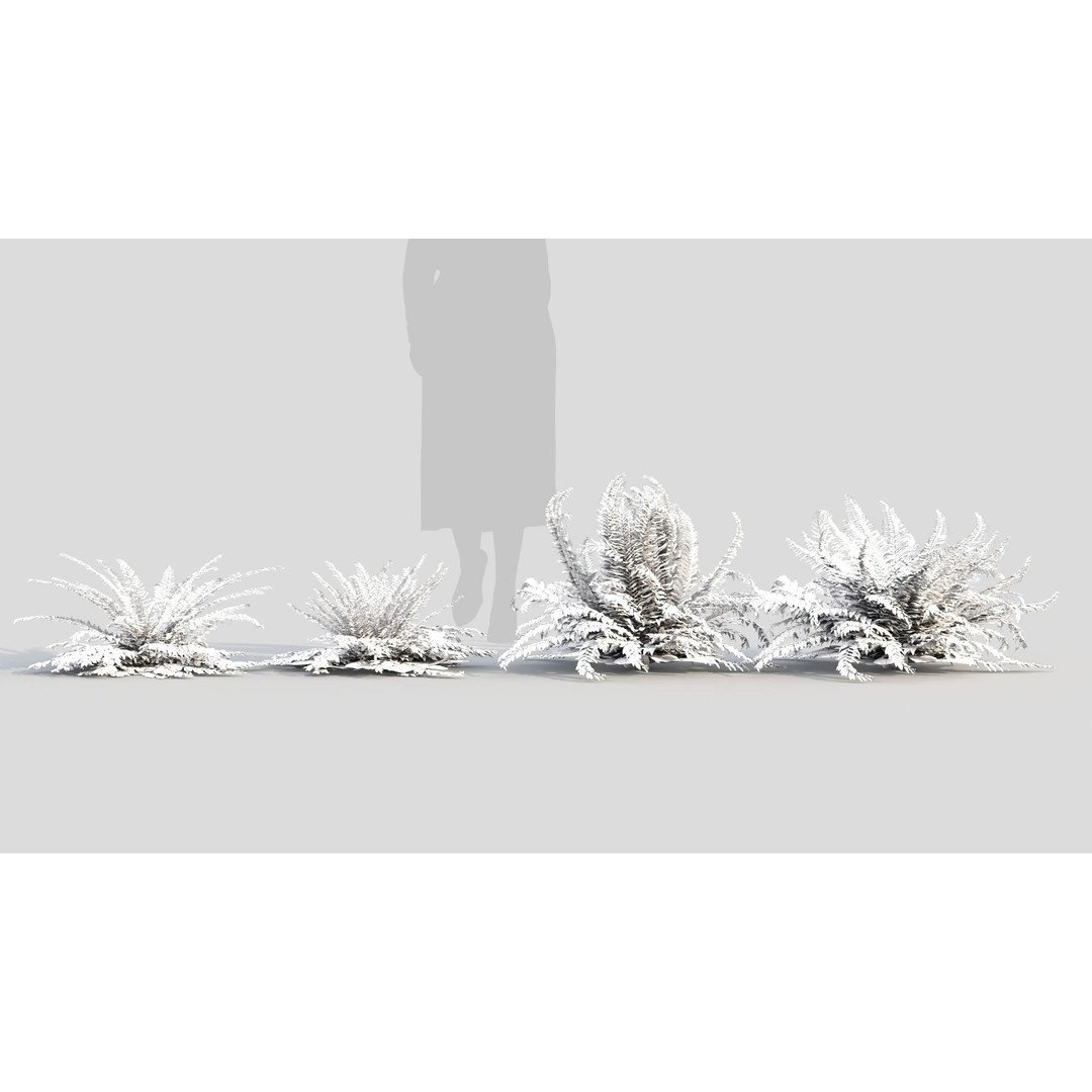 Polystichum Tsussimense 3D Model – Realistic Plant Asset, FBX & OBJ