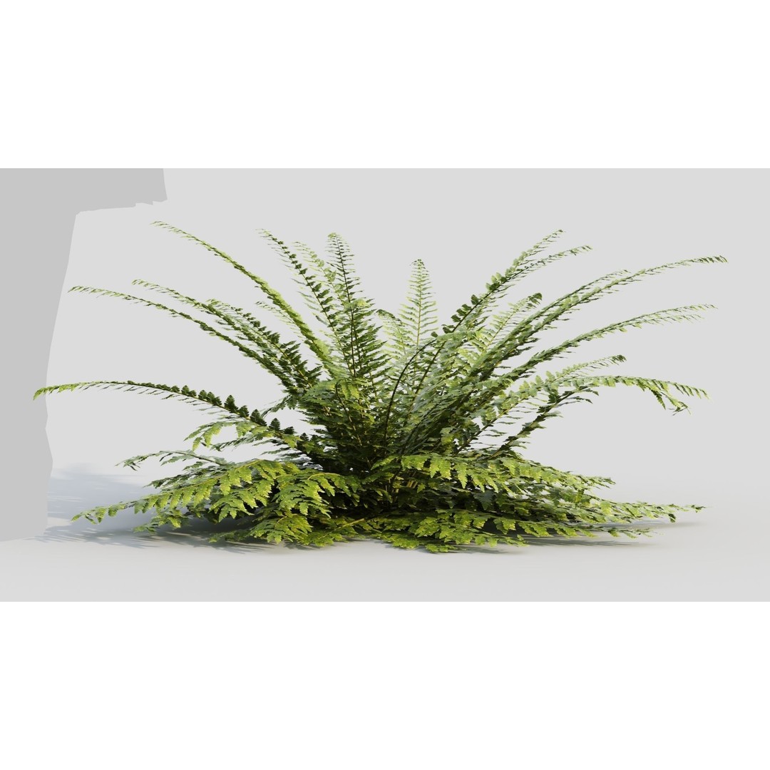 Polystichum Tsussimense 3D Model – Realistic Plant Asset, FBX & OBJ - View 8
