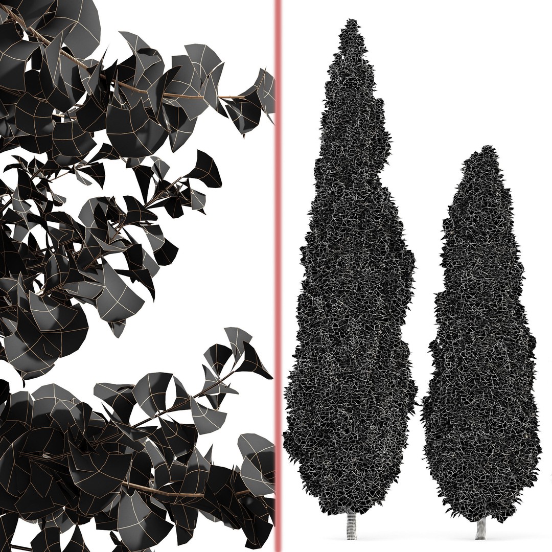 Maidenhair Ginkgo Biloba & Mediterranean Cypress 3D Model – Spring Trees, PBR, FBX, OBJ - View 9