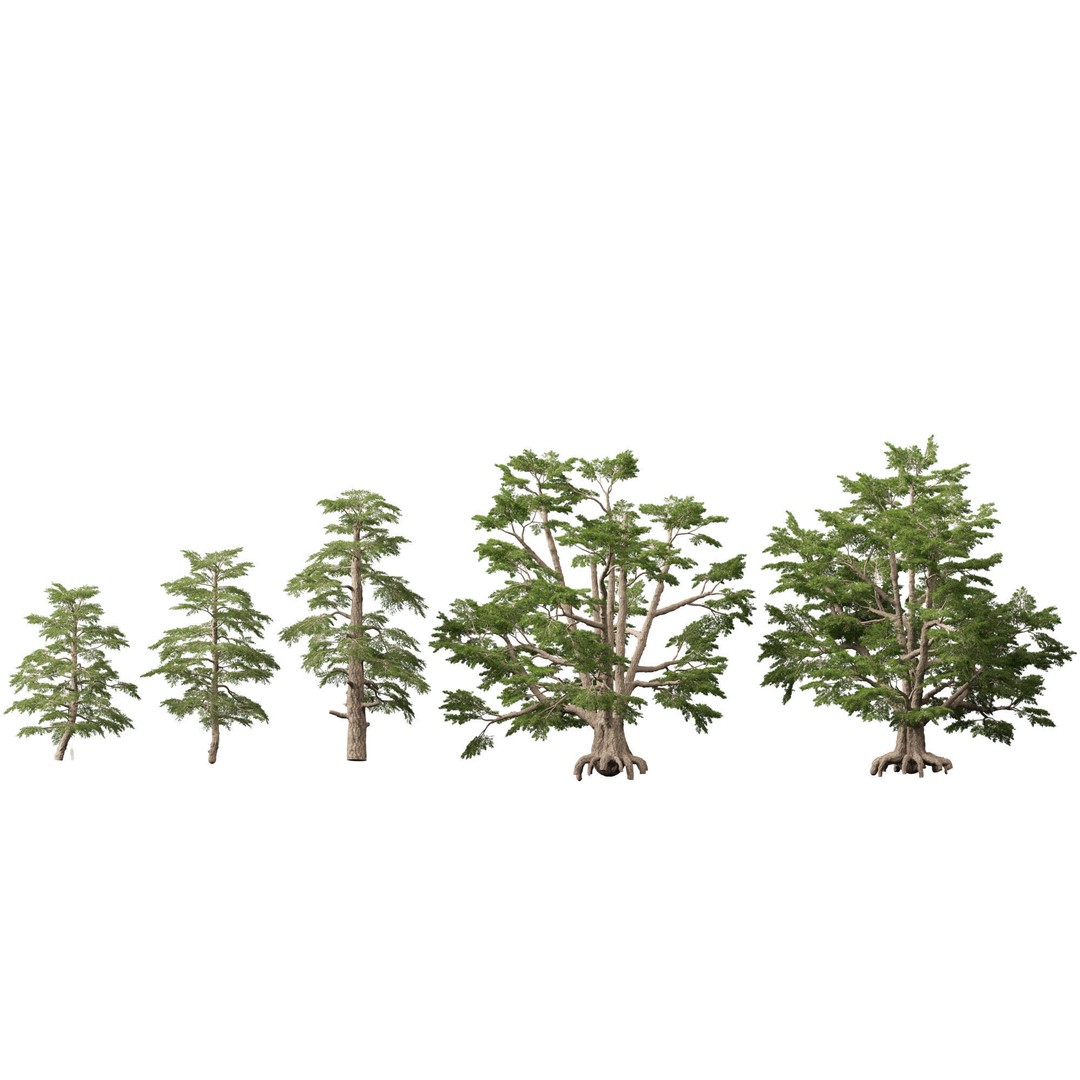 Cedrus Libani 3D Model – Low Poly Game Asset, FBX, Blender - View 3