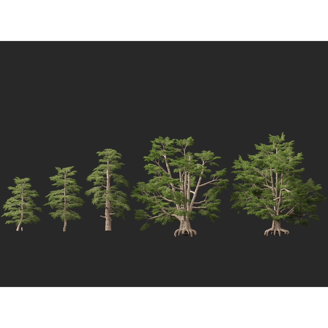 Cedrus Libani 3D Model – Low Poly Game Asset, FBX, Blender - View 7