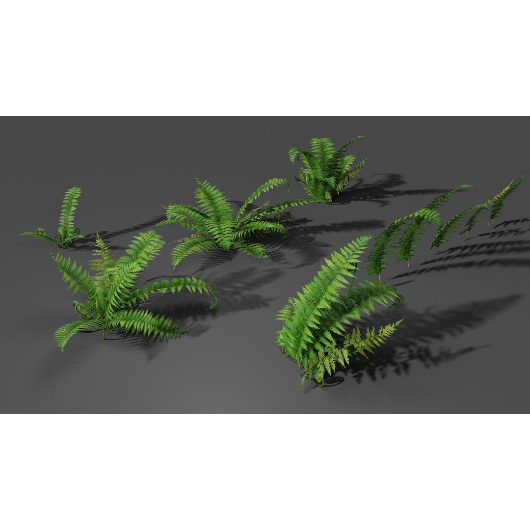 Fern 3D Model – Low Poly Game Asset, PBR Textures, FBX, OBJ - View 12
