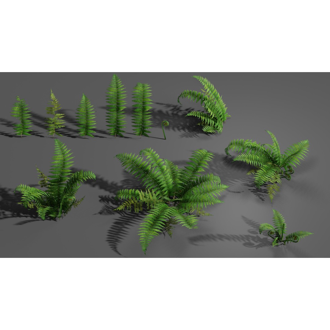 Fern 3D Model – Low Poly Game Asset, PBR Textures, FBX, OBJ - View 3