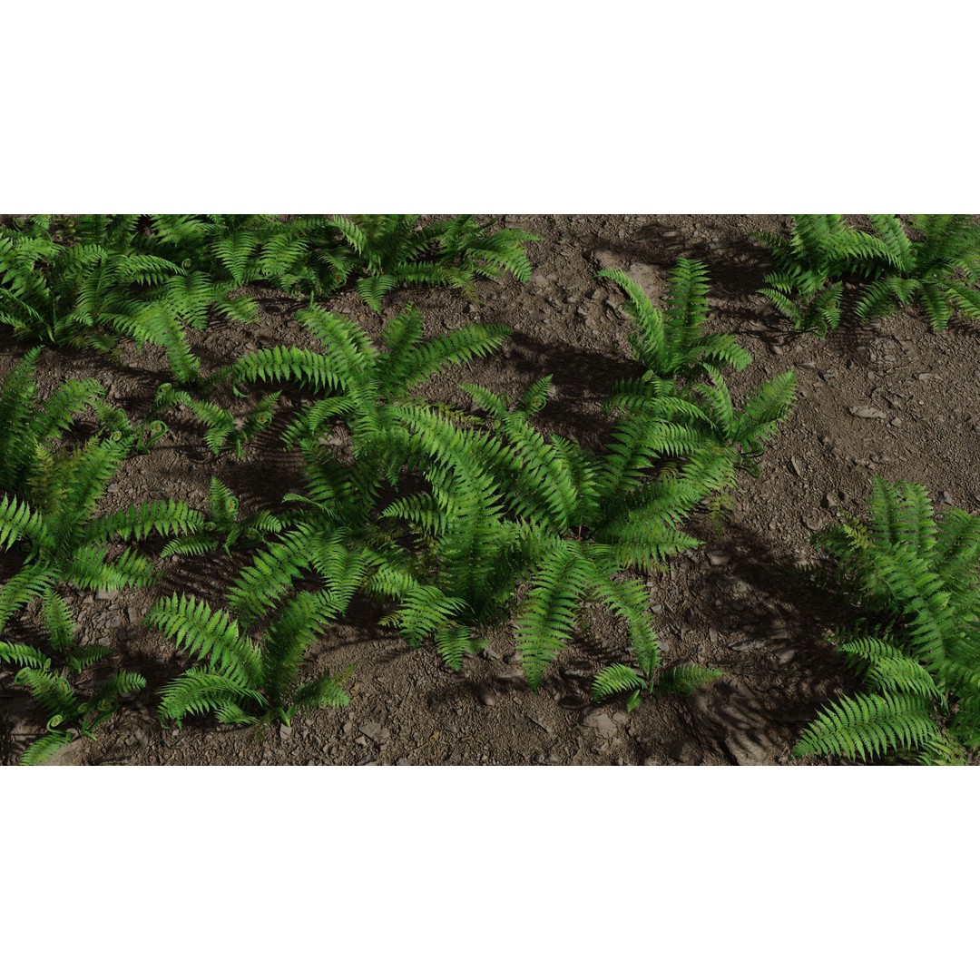 Fern 3D Model – Low Poly Game Asset, PBR Textures, FBX, OBJ - View 4