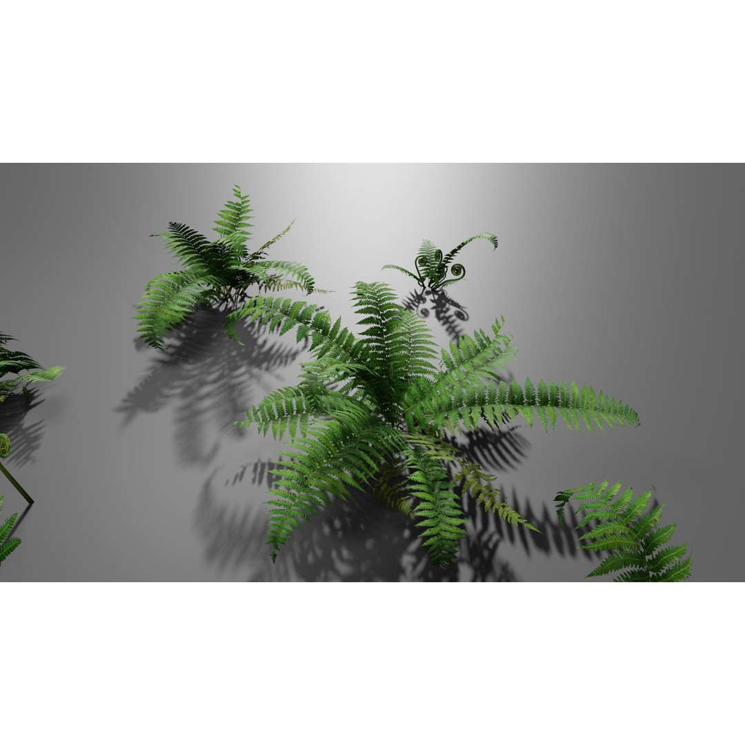 Fern 3D Model – Low Poly Game Asset, PBR Textures, FBX, OBJ - View 6