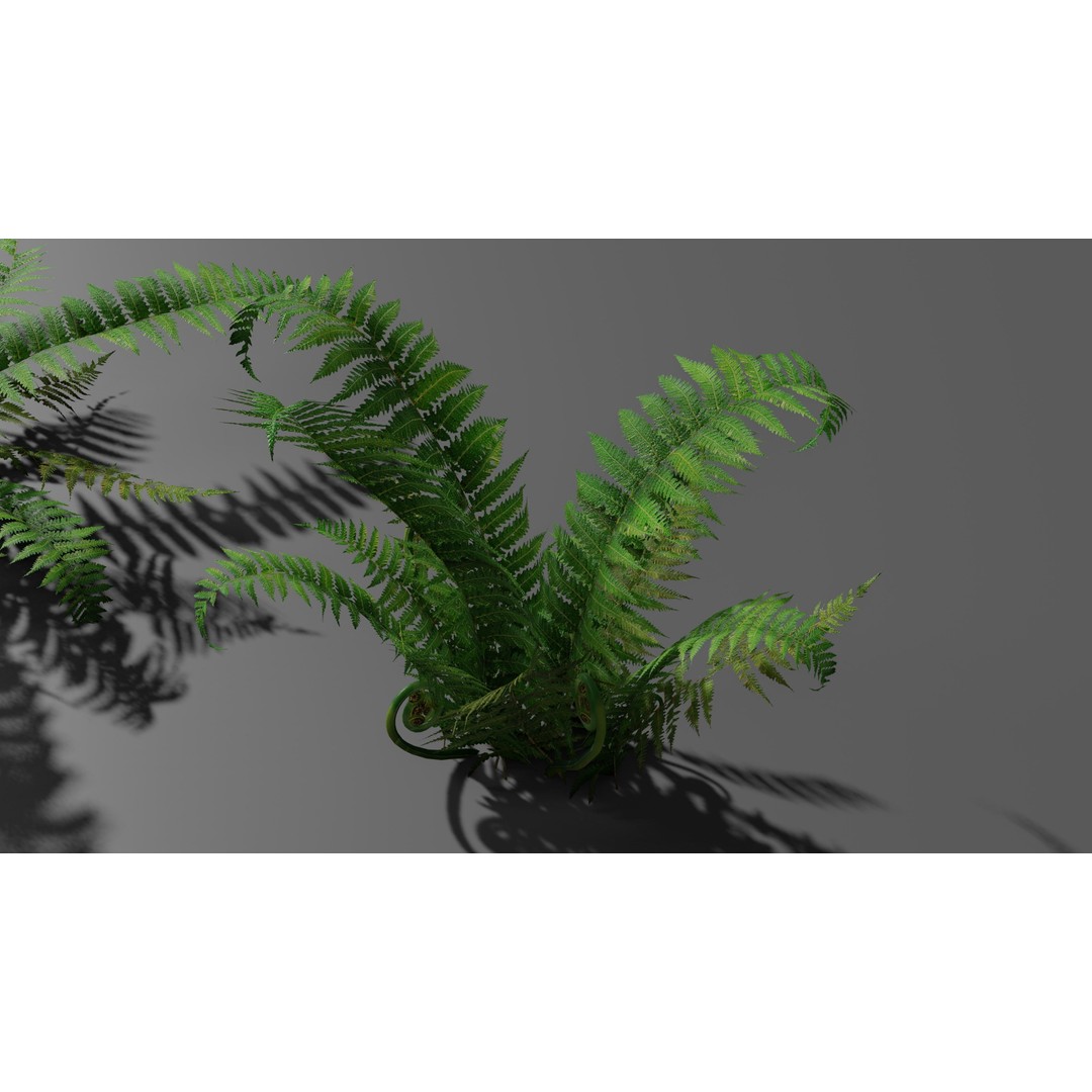 Fern 3D Model – Low Poly Game Asset, PBR Textures, FBX, OBJ - View 7