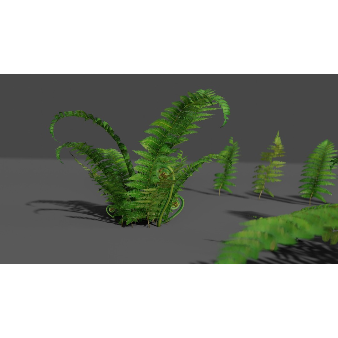 Fern 3D Model – Low Poly Game Asset, PBR Textures, FBX, OBJ - View 8