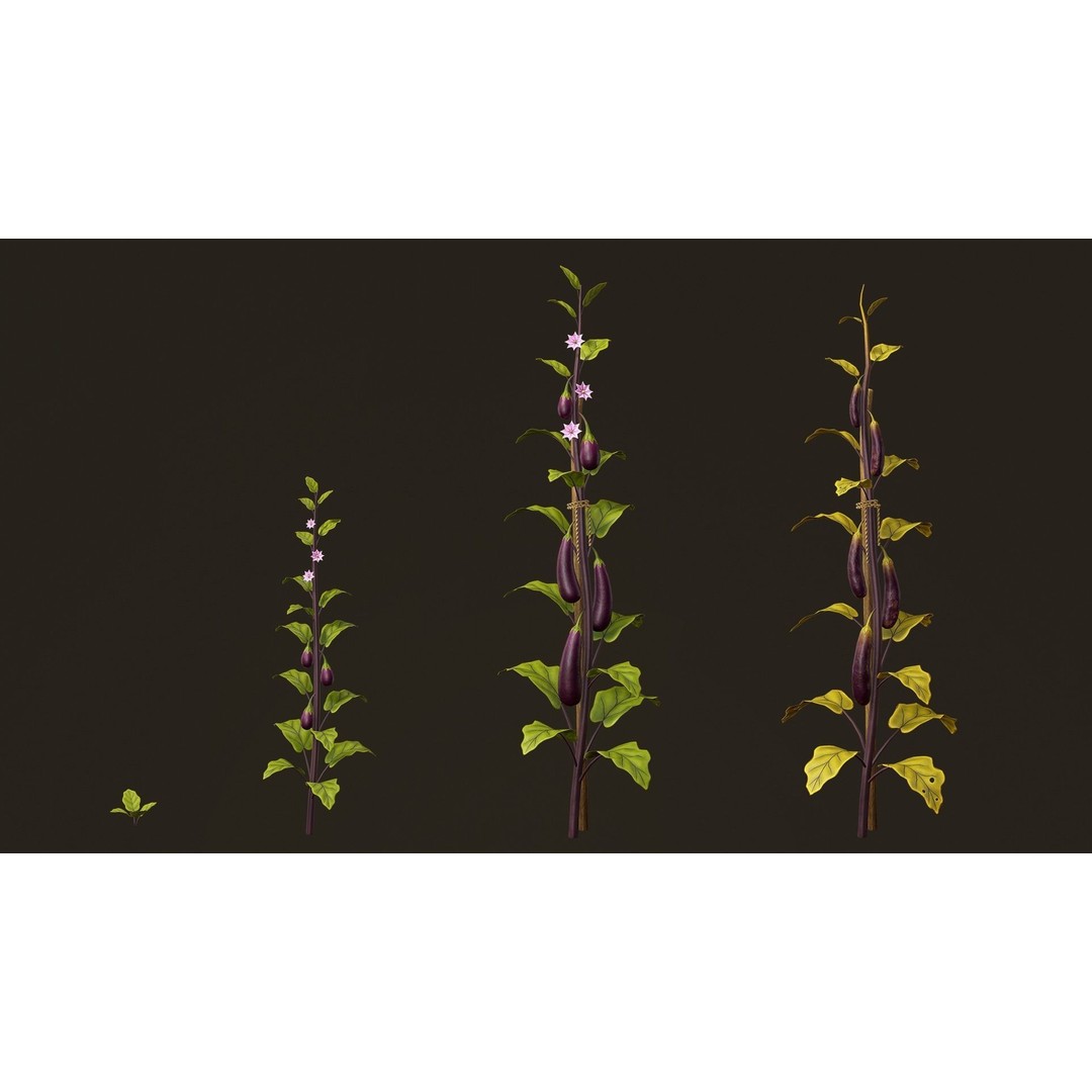 Growing Farm Plants Pack 3D Model – Low Poly Game Asset, FBX, Unity, Unreal - View 10