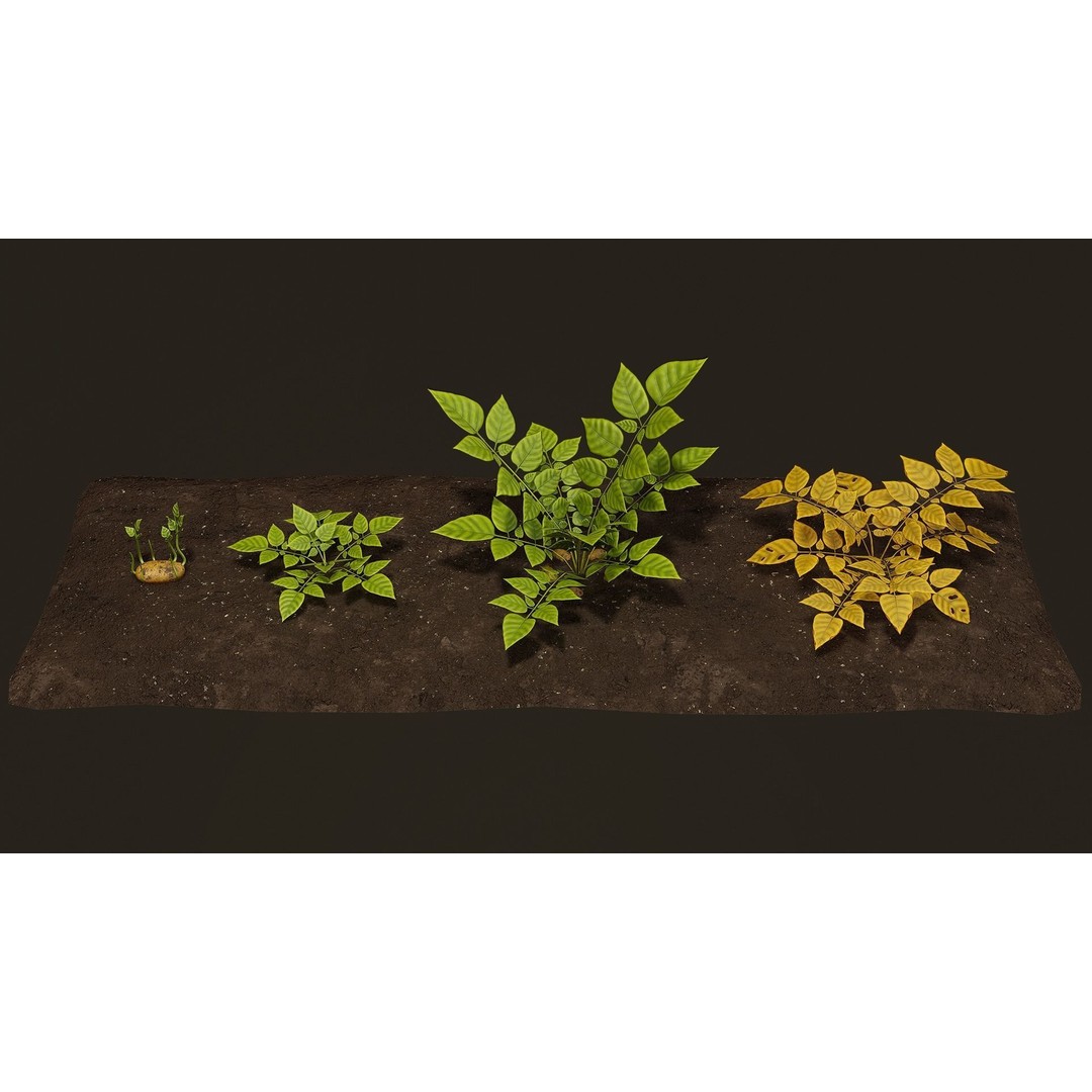 Growing Farm Plants Pack 3D Model – Low Poly Game Asset, FBX, Unity, Unreal - View 14