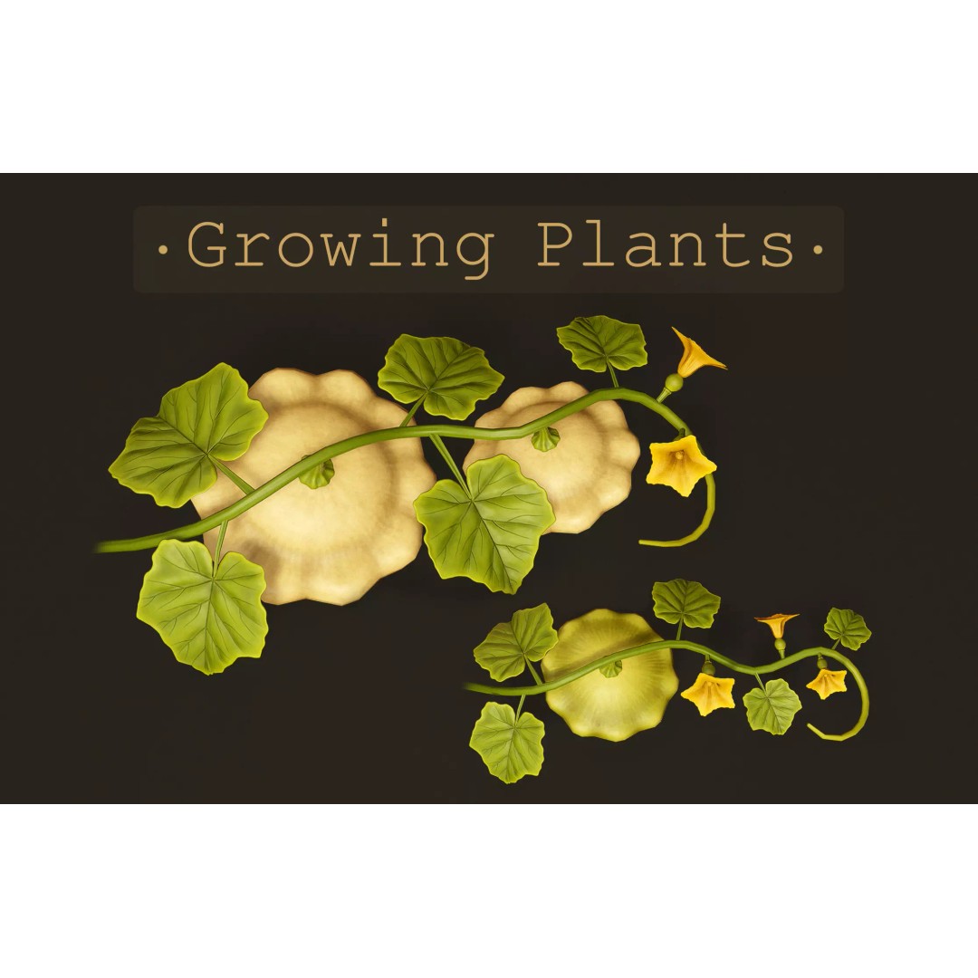 Growing Farm Plants Pack 3D Model – Low Poly Game Asset, FBX, Unity, Unreal - View 2