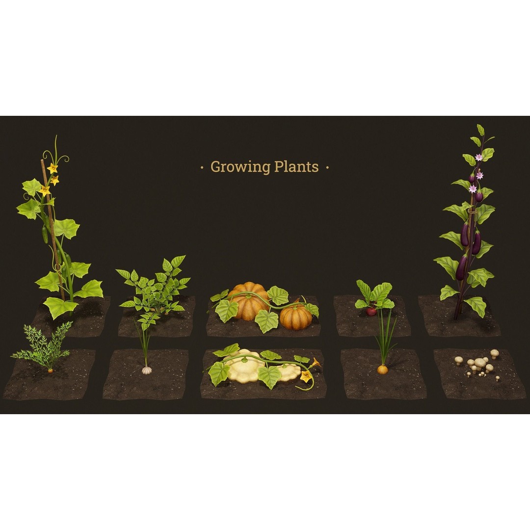 Growing Farm Plants Pack 3D Model – Low Poly Game Asset, FBX, Unity, Unreal - View 6