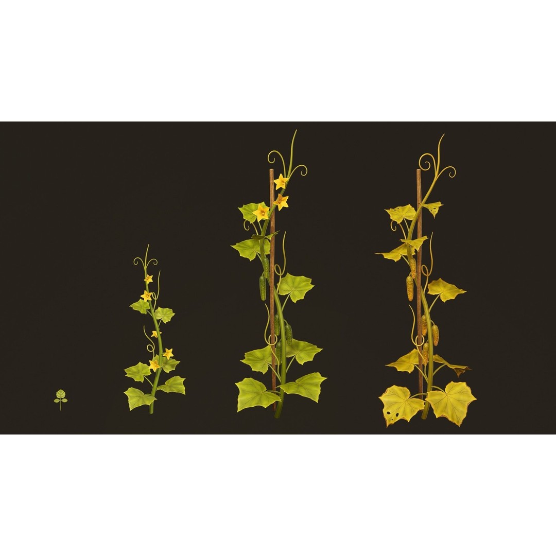 Growing Farm Plants Pack 3D Model – Low Poly Game Asset, FBX, Unity, Unreal - View 9