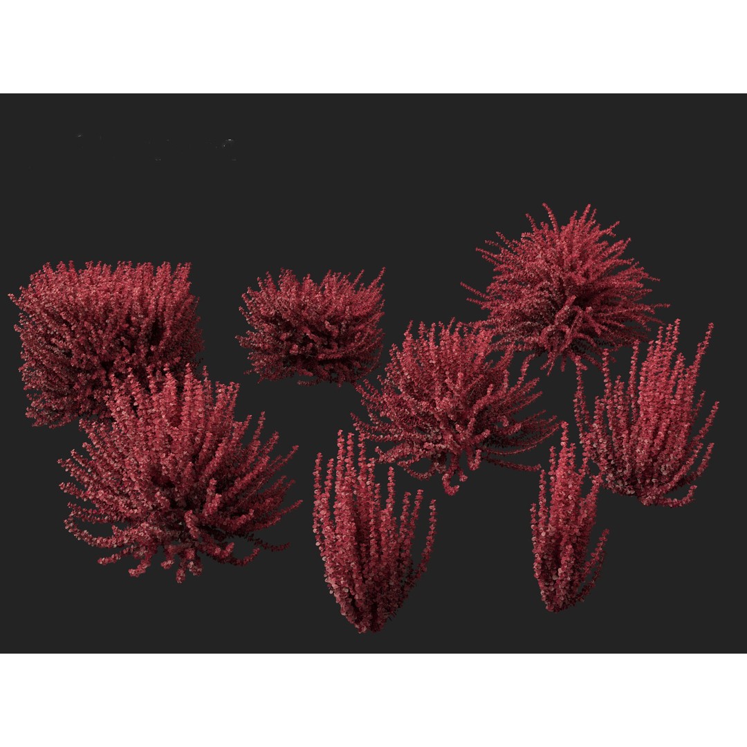 Berberis thunbergii f atropurpurea Gentry 3D Model – Realistic Plant Asset, FBX - View 4