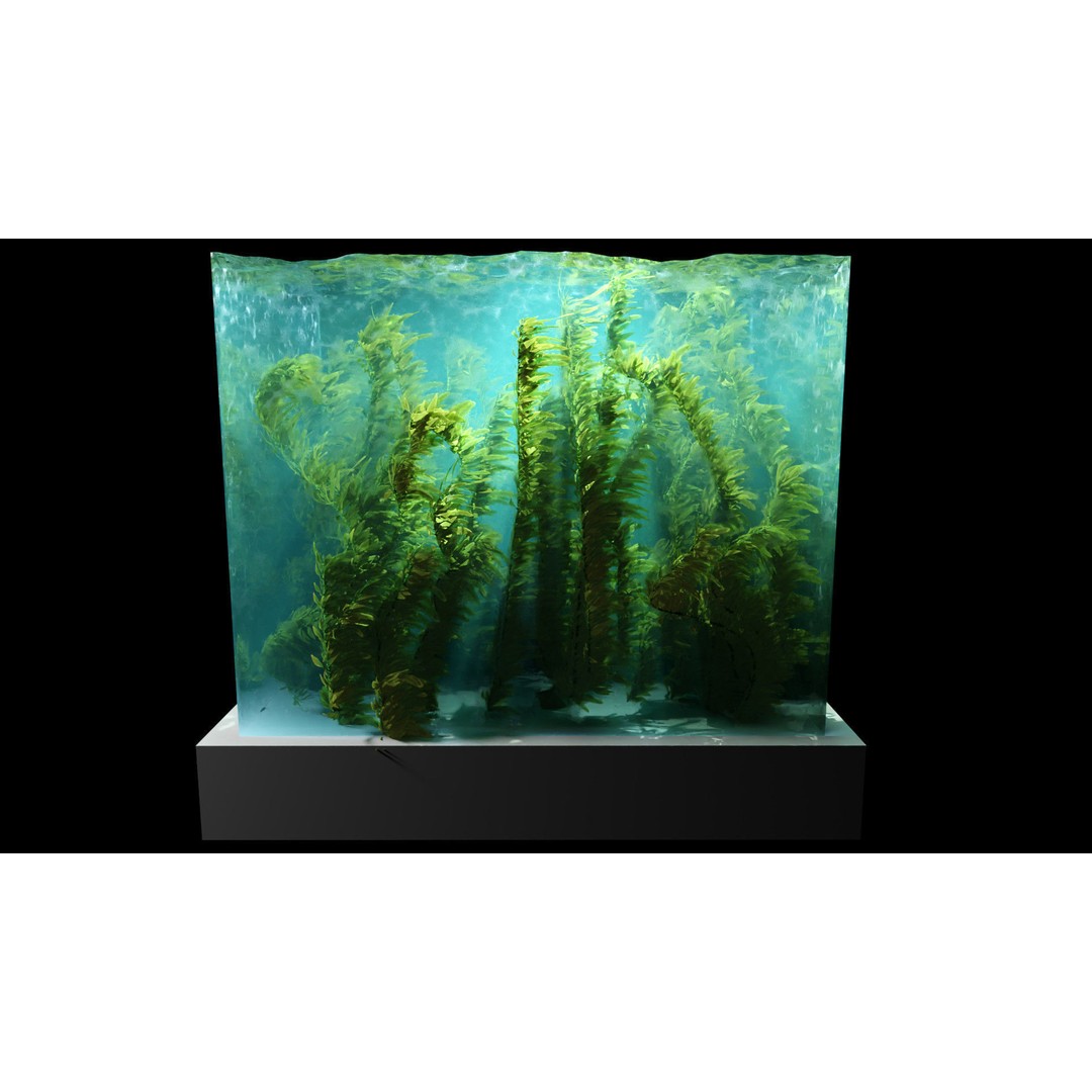 Procedural Kelp Forest 3D Model – Animated Underwater Environment, Blender - View 3