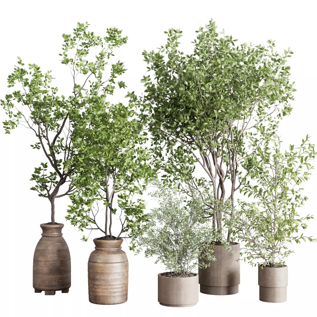Indoor Plant 3D Model – Low Poly Pot Tree in Wooden Vase, FBX, OBJ - View 2
