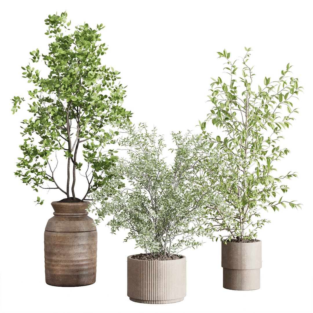 Indoor Plant 3D Model – Low Poly Pot Tree in Wooden Vase, FBX, OBJ - View 3