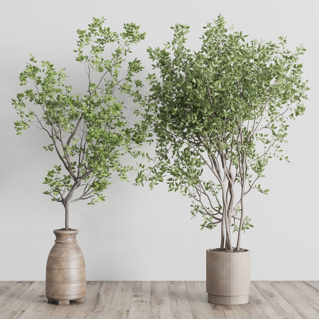 Indoor Plant 3D Model – Low Poly Pot Tree in Wooden Vase, FBX, OBJ - View 4