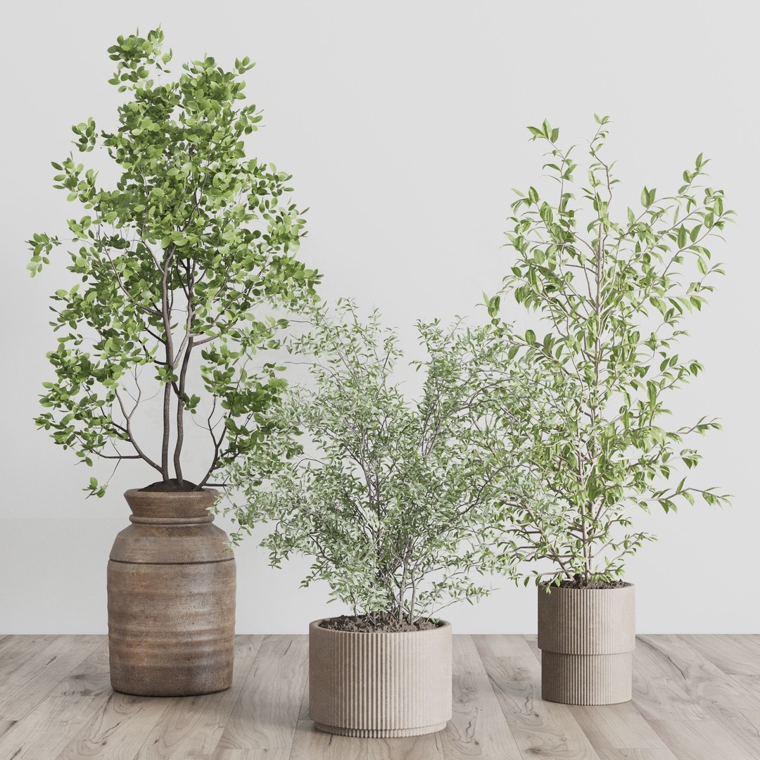 Indoor Plant 3D Model – Low Poly Pot Tree in Wooden Vase, FBX, OBJ - View 5
