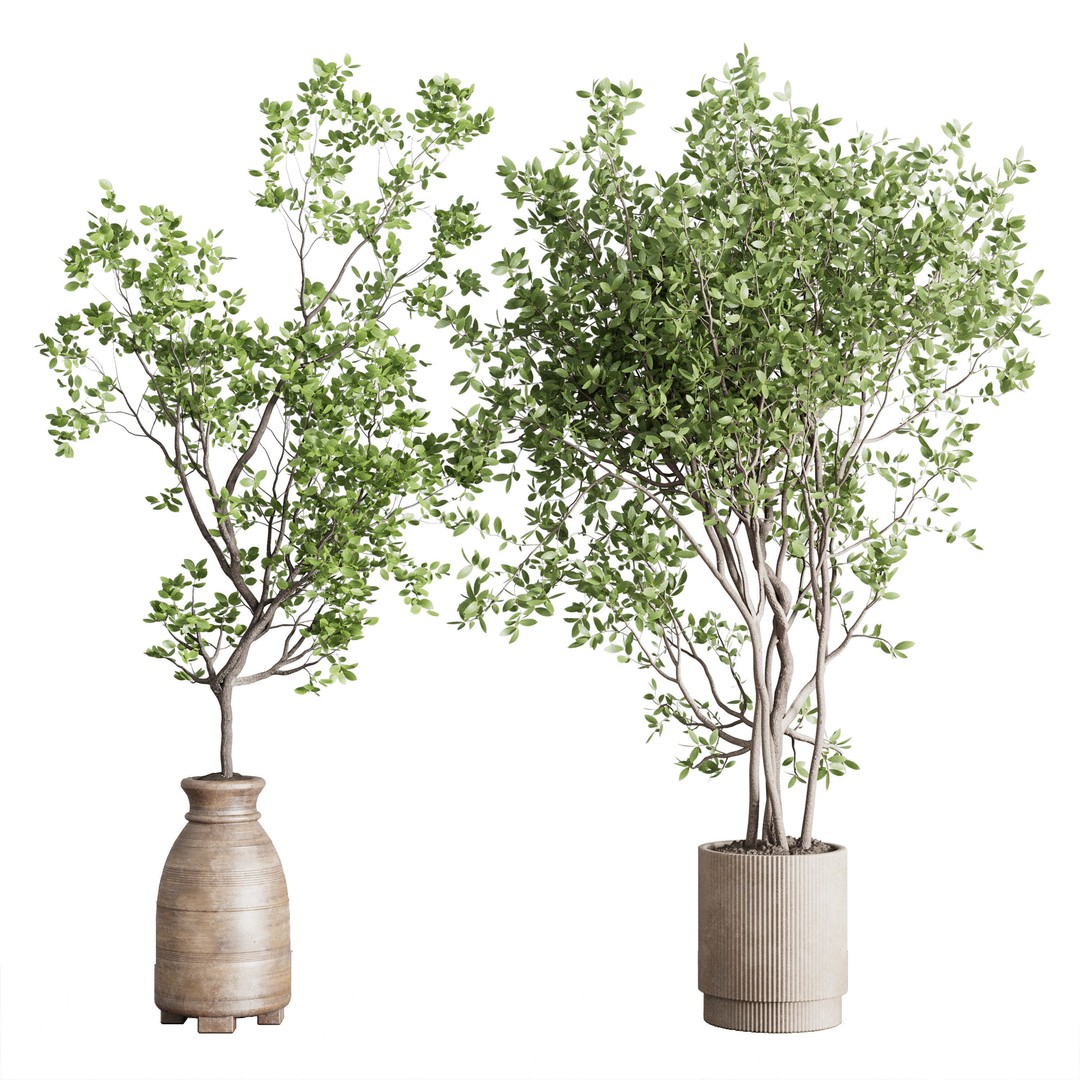 Indoor Plant 3D Model – Low Poly Pot Tree in Wooden Vase, FBX, OBJ - View 6