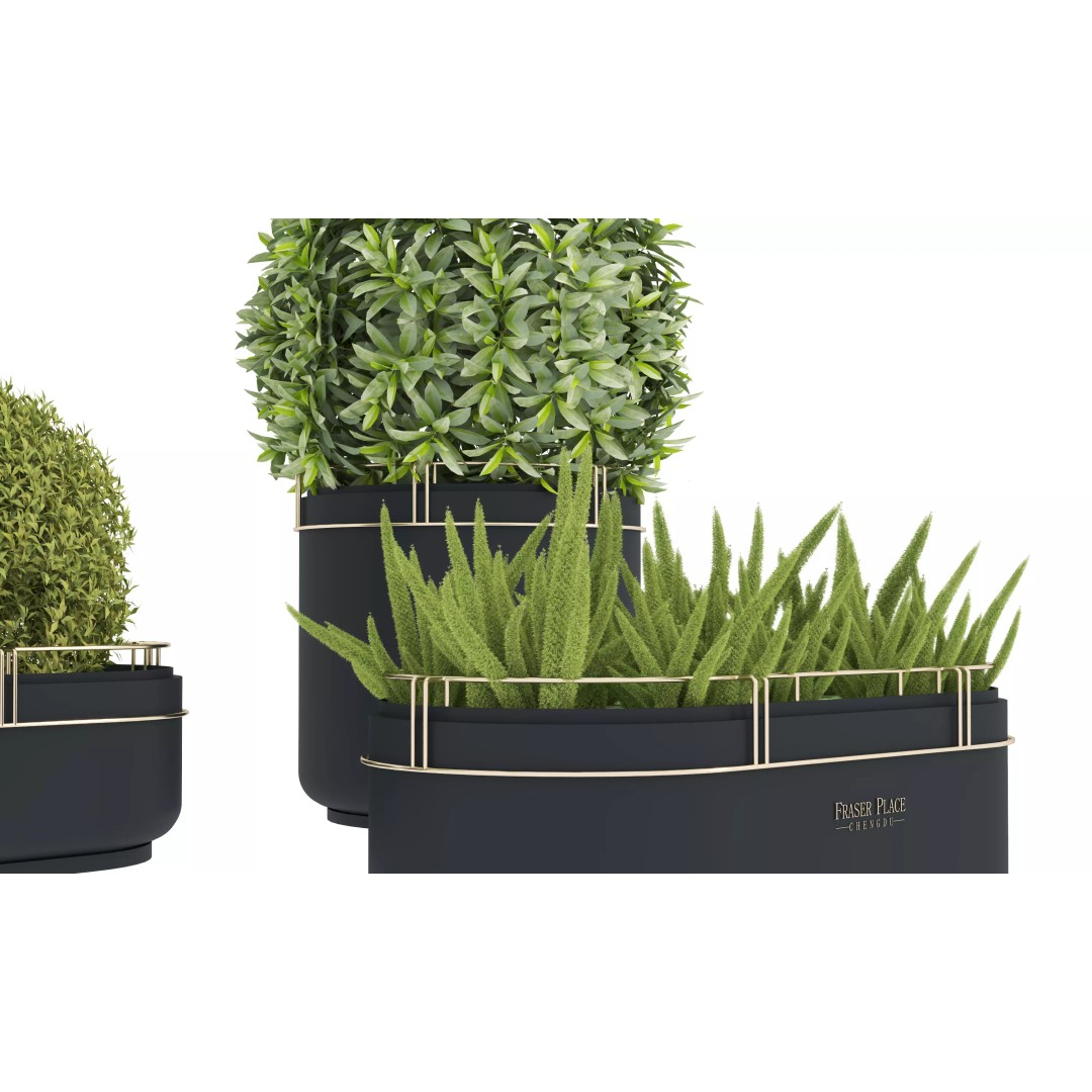 Modern Indoor Plants 3D Model – Low Poly Pot Plant, FBX & OBJ - View 10