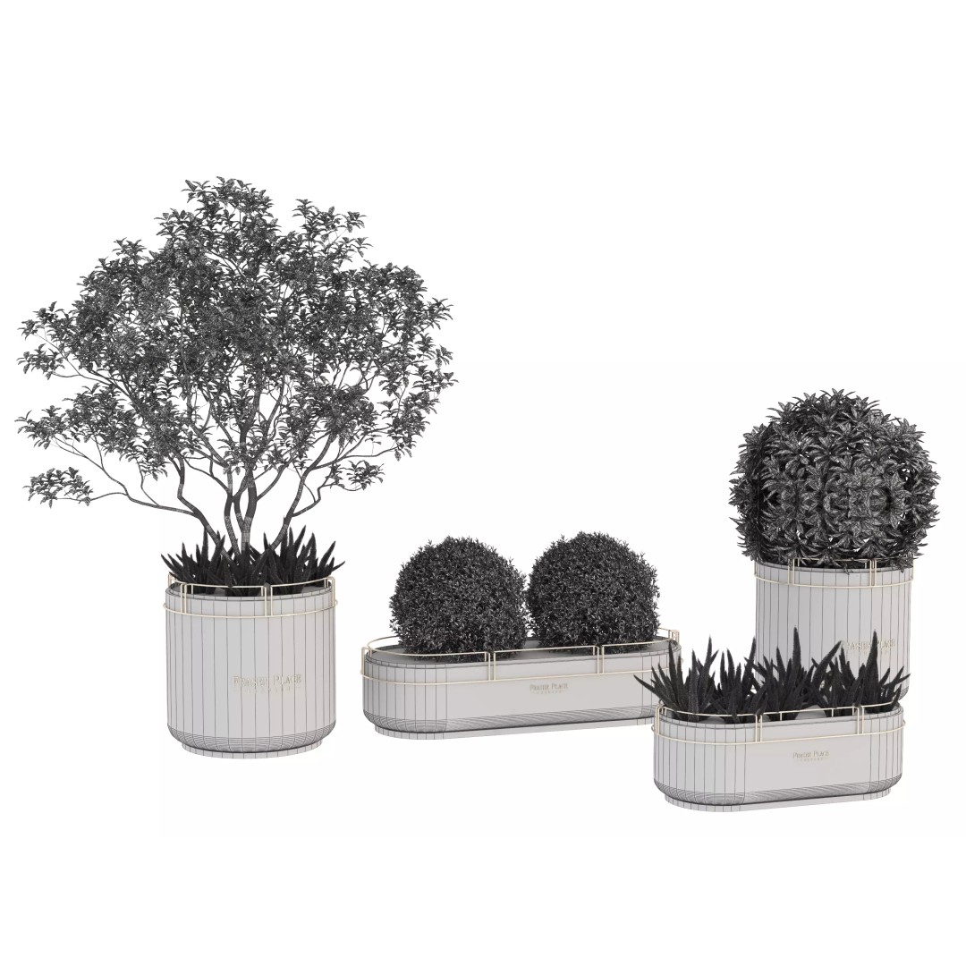 Modern Indoor Plants 3D Model – Low Poly Pot Plant, FBX & OBJ - View 12