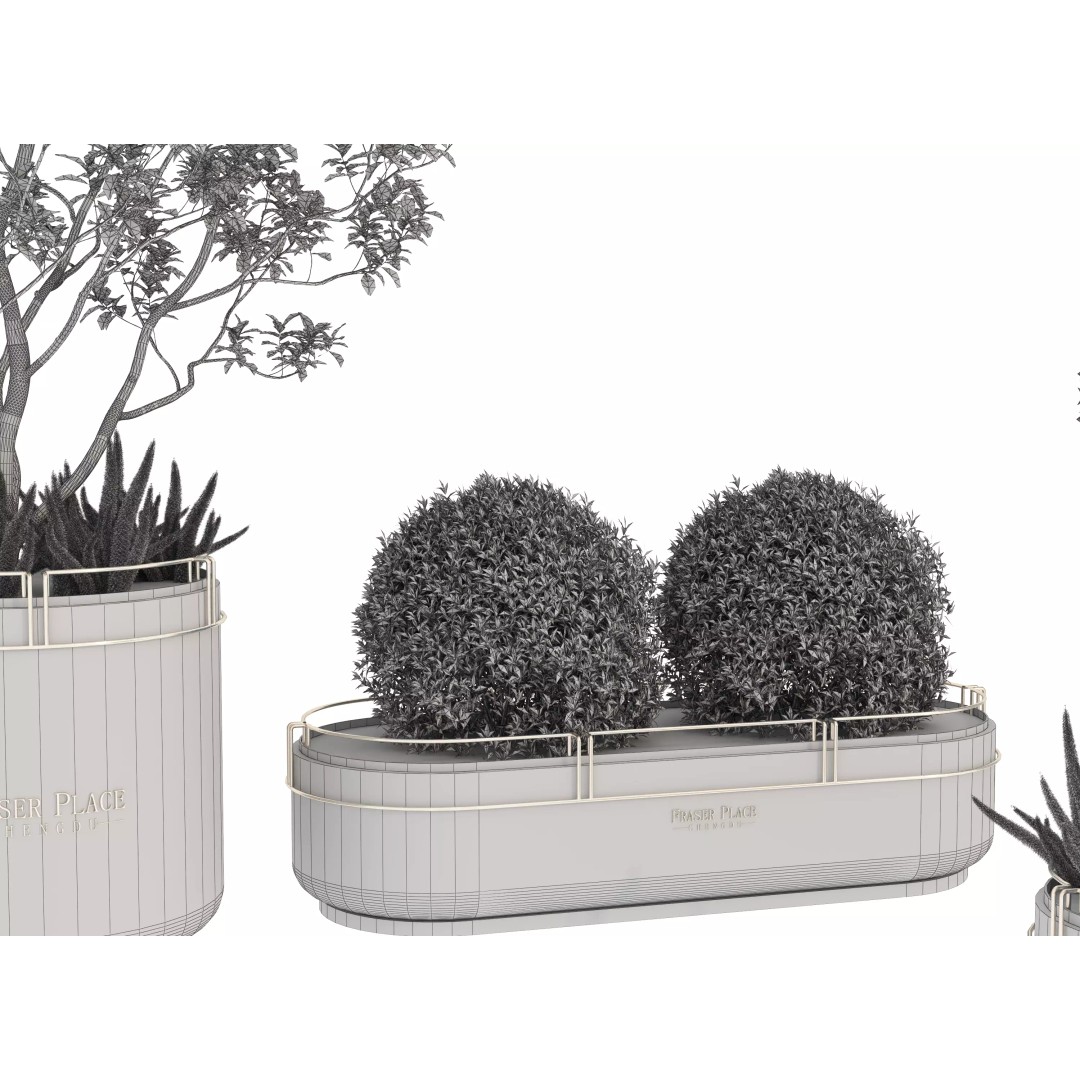 Modern Indoor Plants 3D Model – Low Poly Pot Plant, FBX & OBJ - View 14