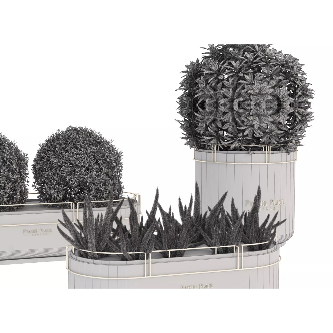Modern Indoor Plants 3D Model – Low Poly Pot Plant, FBX & OBJ - View 15
