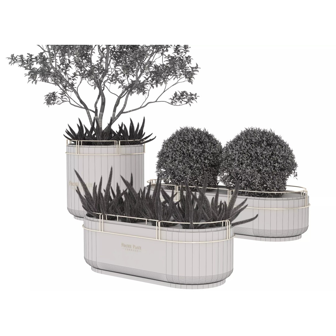 Modern Indoor Plants 3D Model – Low Poly Pot Plant, FBX & OBJ - View 16