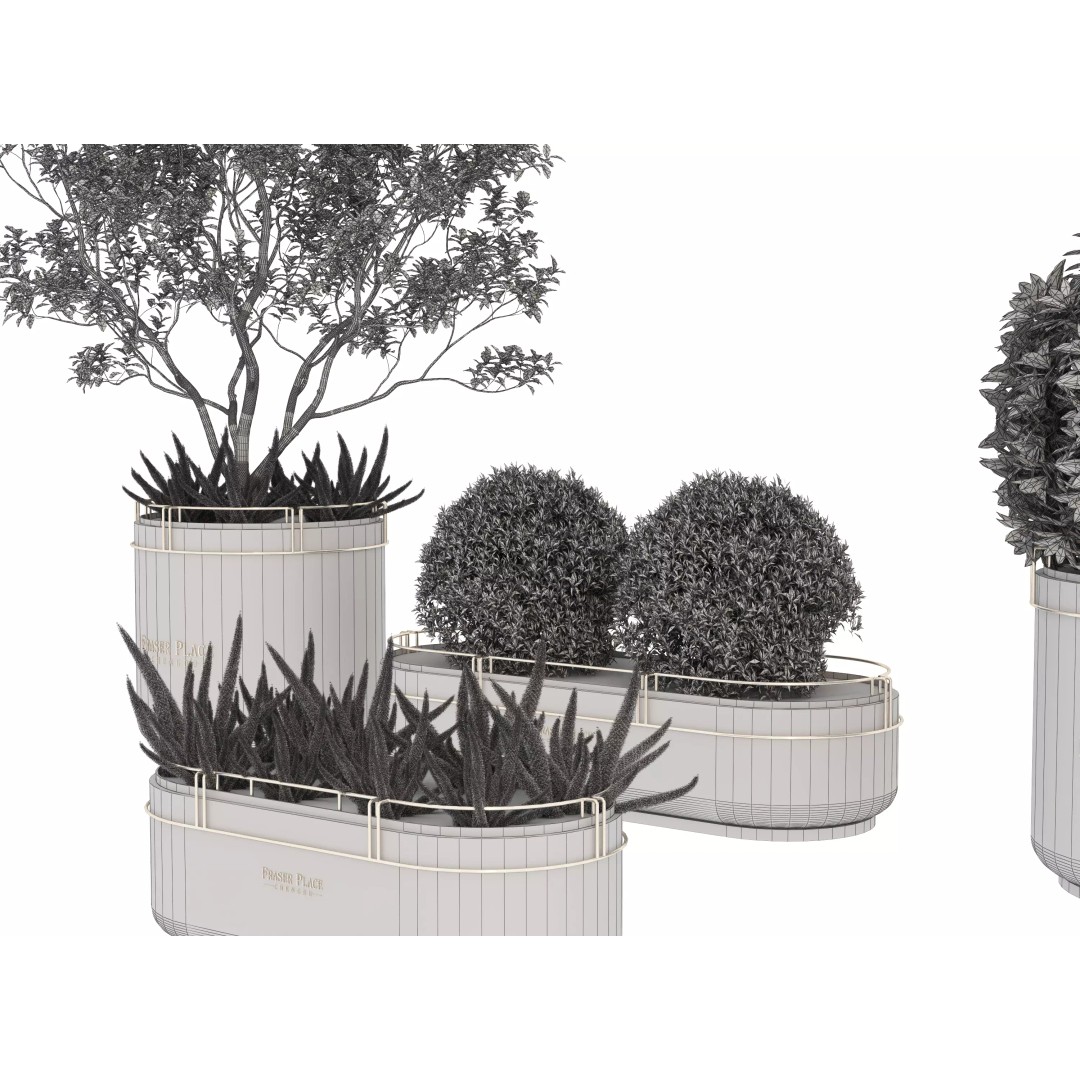 Modern Indoor Plants 3D Model – Low Poly Pot Plant, FBX & OBJ - View 17