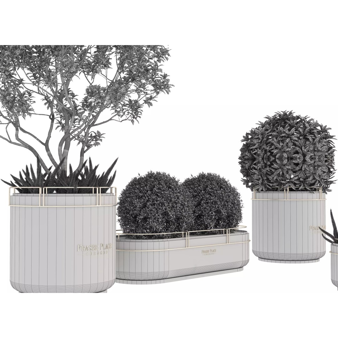 Modern Indoor Plants 3D Model – Low Poly Pot Plant, FBX & OBJ - View 18