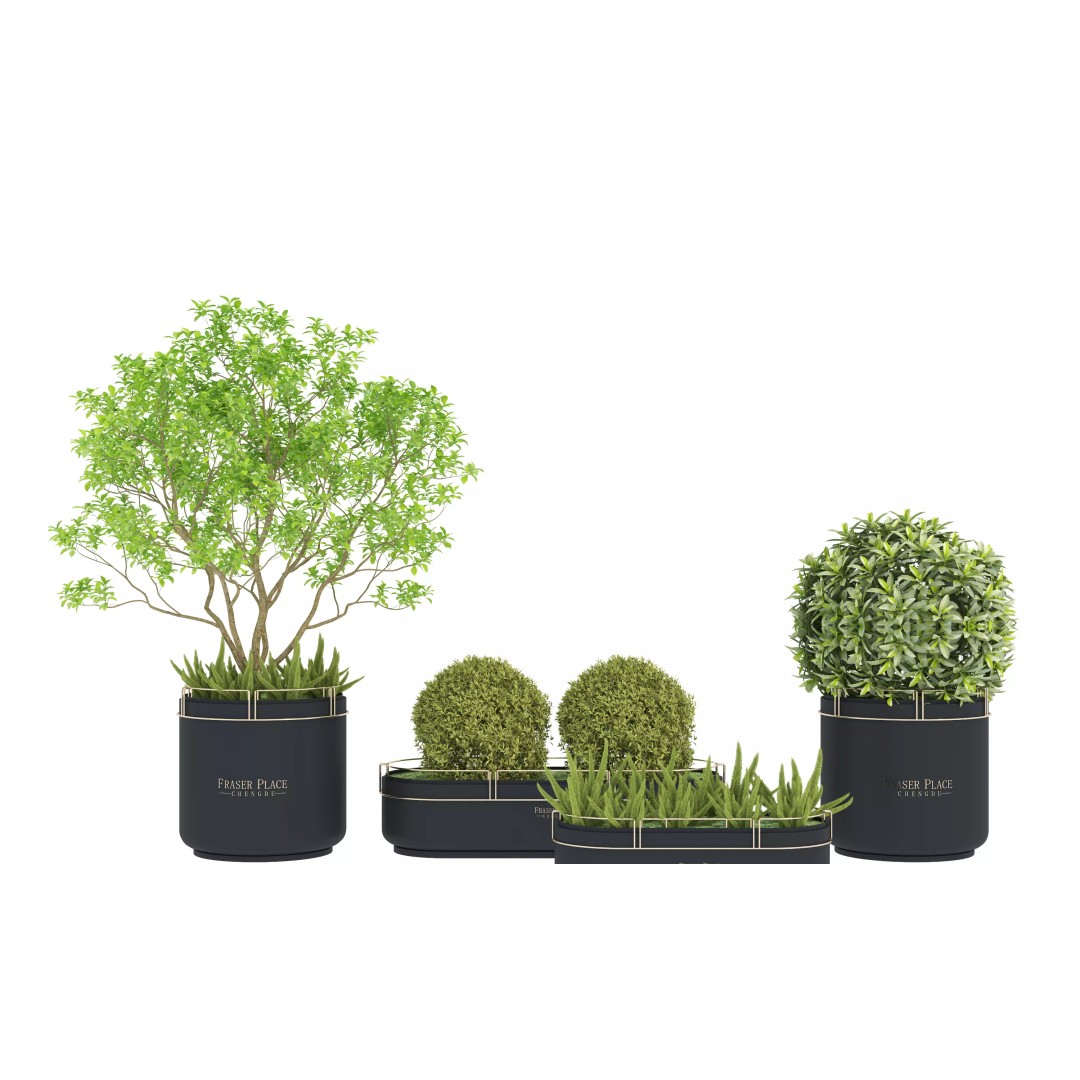 Modern Indoor Plants 3D Model – Low Poly Pot Plant, FBX & OBJ - View 2