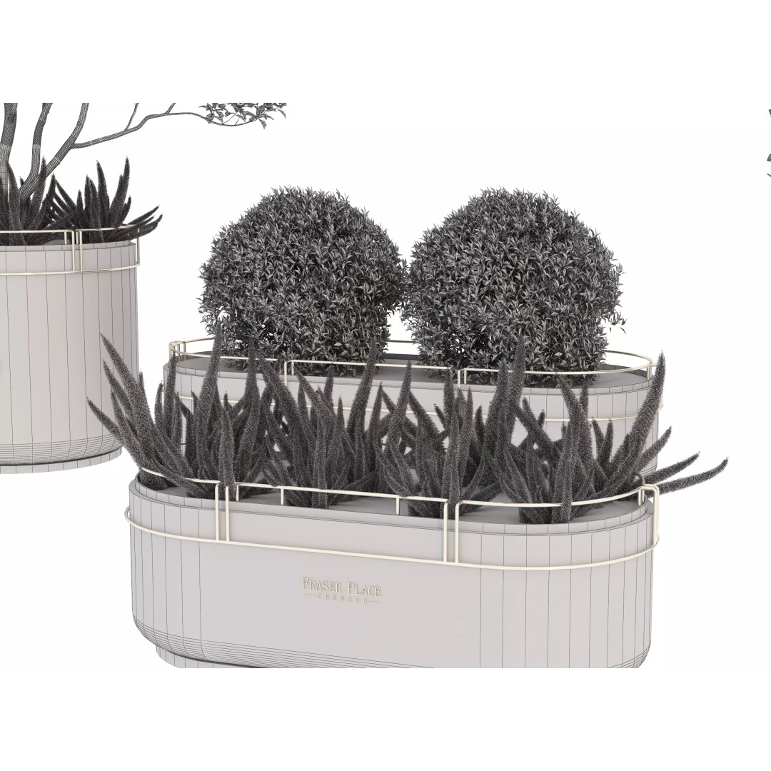 Modern Indoor Plants 3D Model – Low Poly Pot Plant, FBX & OBJ - View 21