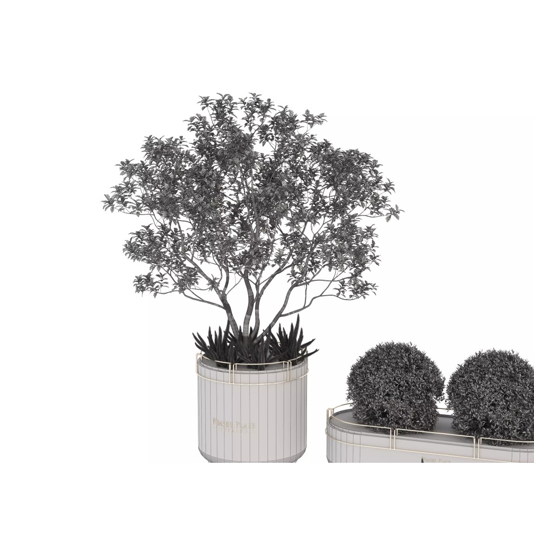 Modern Indoor Plants 3D Model – Low Poly Pot Plant, FBX & OBJ - View 22
