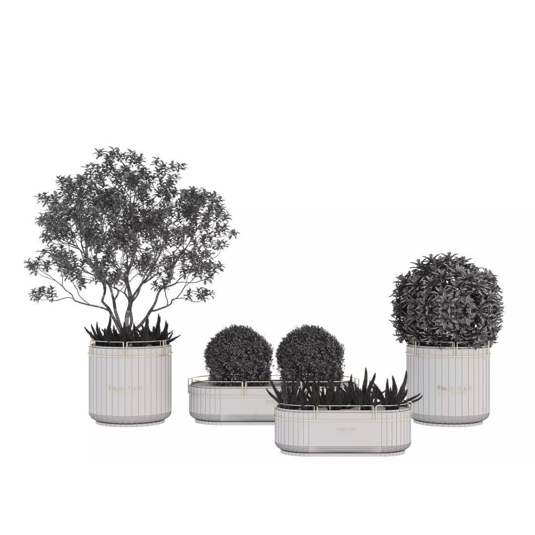 Modern Indoor Plants 3D Model – Low Poly Pot Plant, FBX & OBJ - View 23