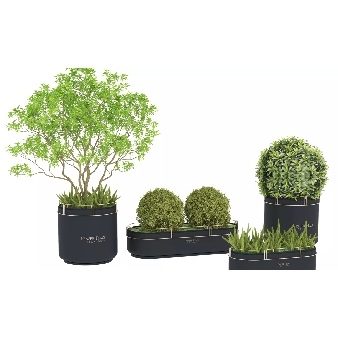 Modern Indoor Plants 3D Model – Low Poly Pot Plant, FBX & OBJ - View 3