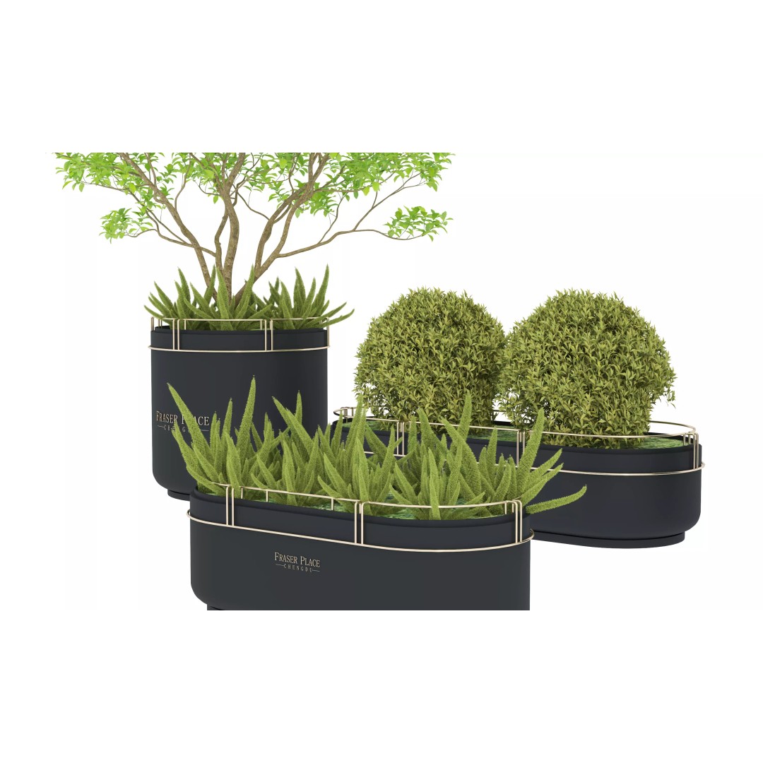 Modern Indoor Plants 3D Model – Low Poly Pot Plant, FBX & OBJ - View 4