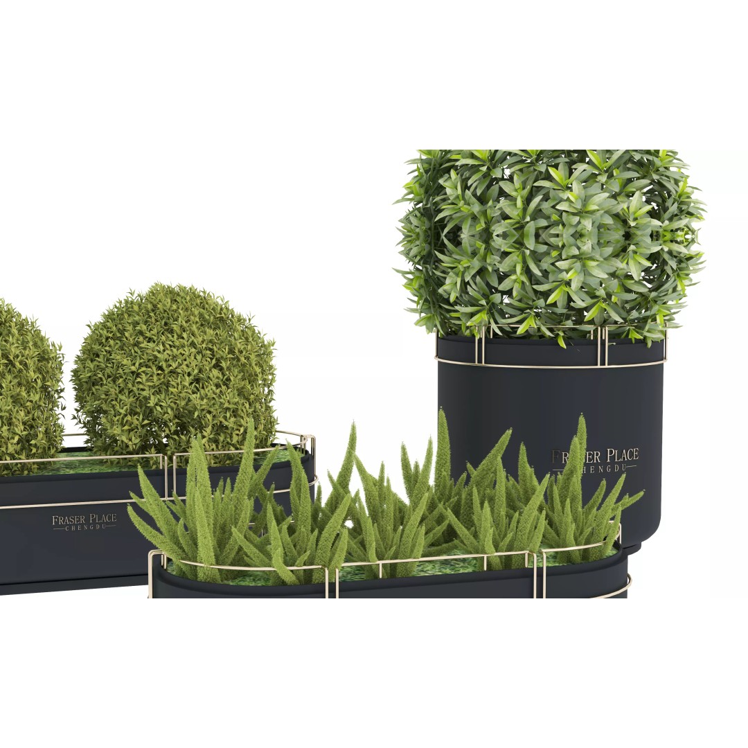 Modern Indoor Plants 3D Model – Low Poly Pot Plant, FBX & OBJ - View 5