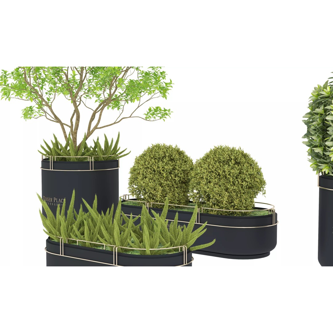 Modern Indoor Plants 3D Model – Low Poly Pot Plant, FBX & OBJ - View 6