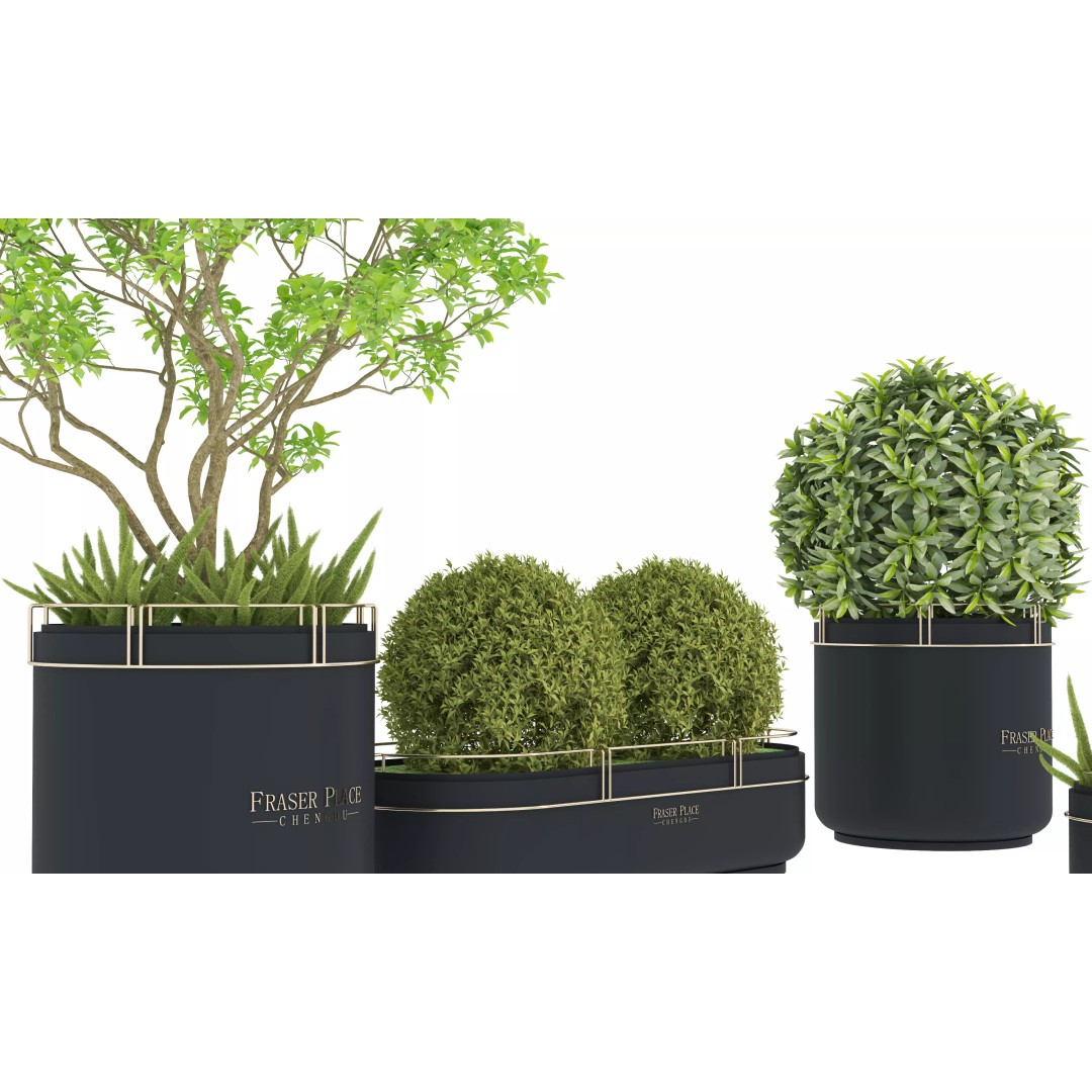 Modern Indoor Plants 3D Model – Low Poly Pot Plant, FBX & OBJ - View 7