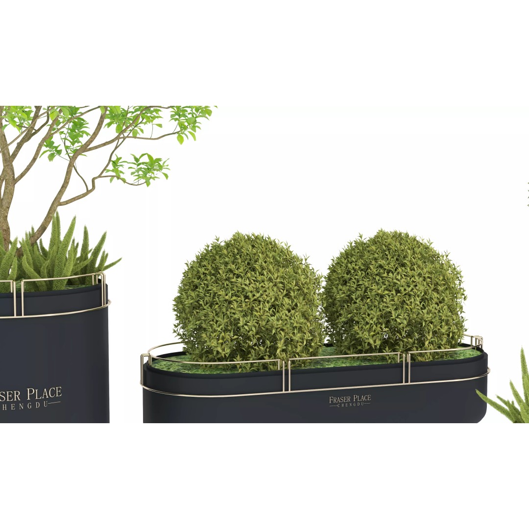 Modern Indoor Plants 3D Model – Low Poly Pot Plant, FBX & OBJ - View 8