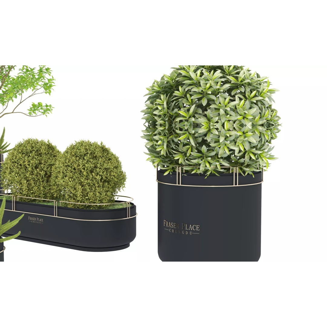 Modern Indoor Plants 3D Model – Low Poly Pot Plant, FBX & OBJ - View 9