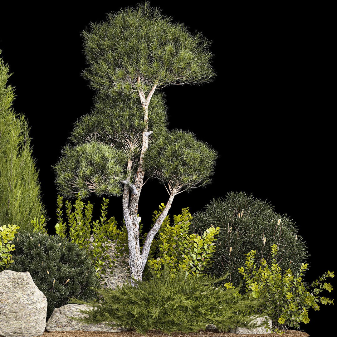 Alpine Hill 3D Model – Decorative Plants with Juniper, Pine, and Bushes - View 6