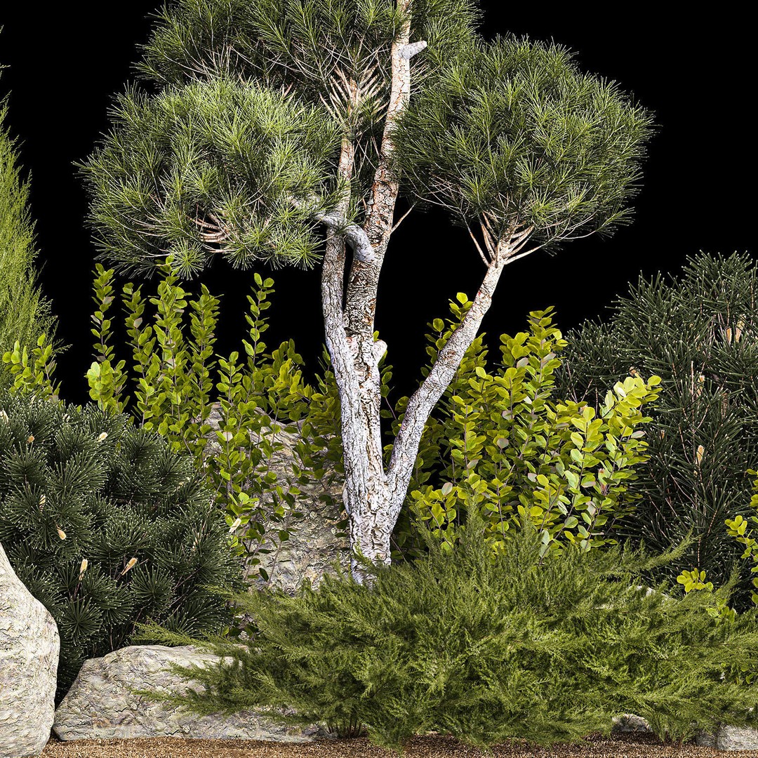 Alpine Hill 3D Model – Decorative Plants with Juniper, Pine, and Bushes - View 7