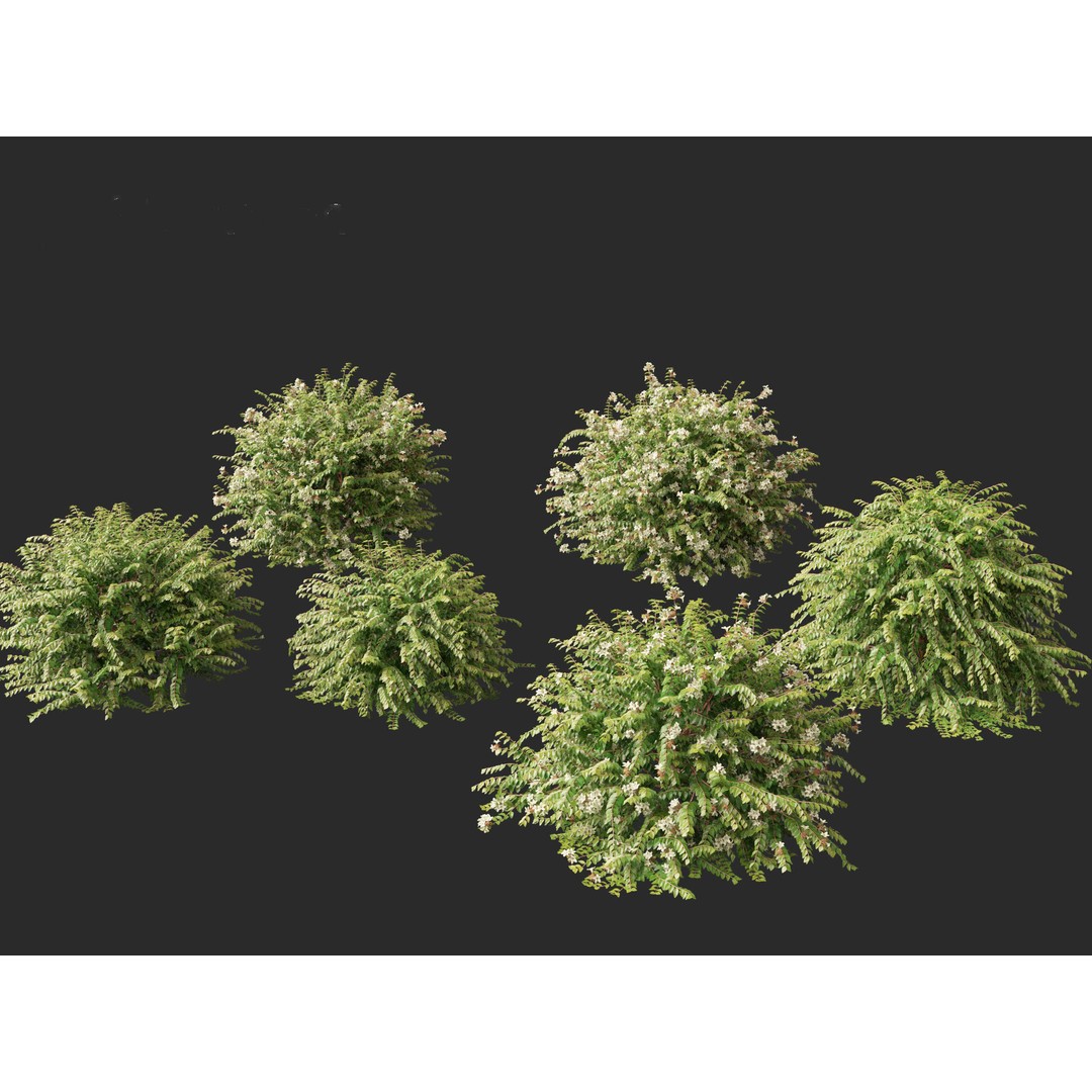 Abelia x grandiflora 3D Model – Glossy Bush Asset, FBX & Blender - View 10